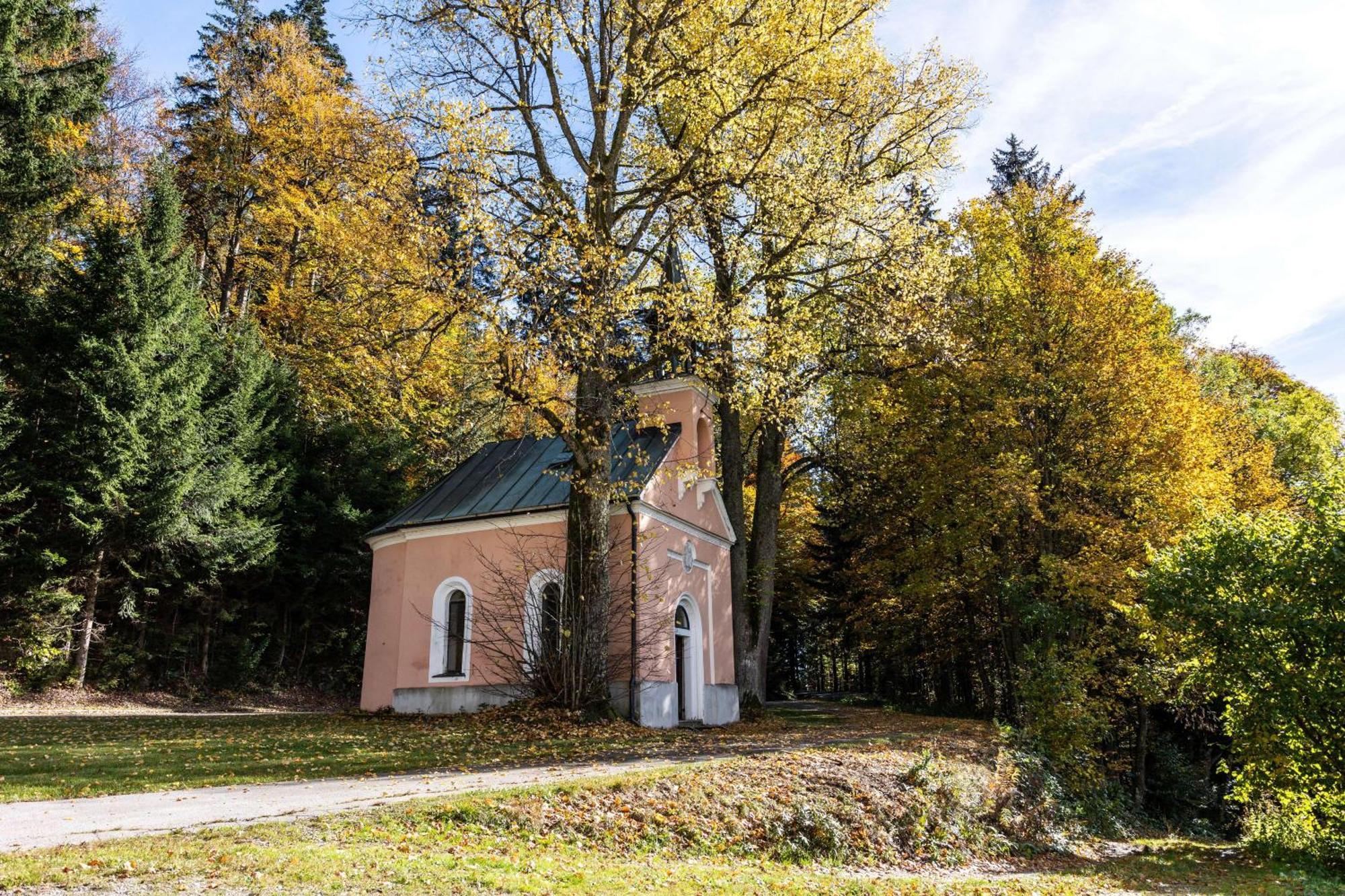 Forsthaus Apartments - Ski + Bike & Hike Klaffer am Hochficht Kültér fotó