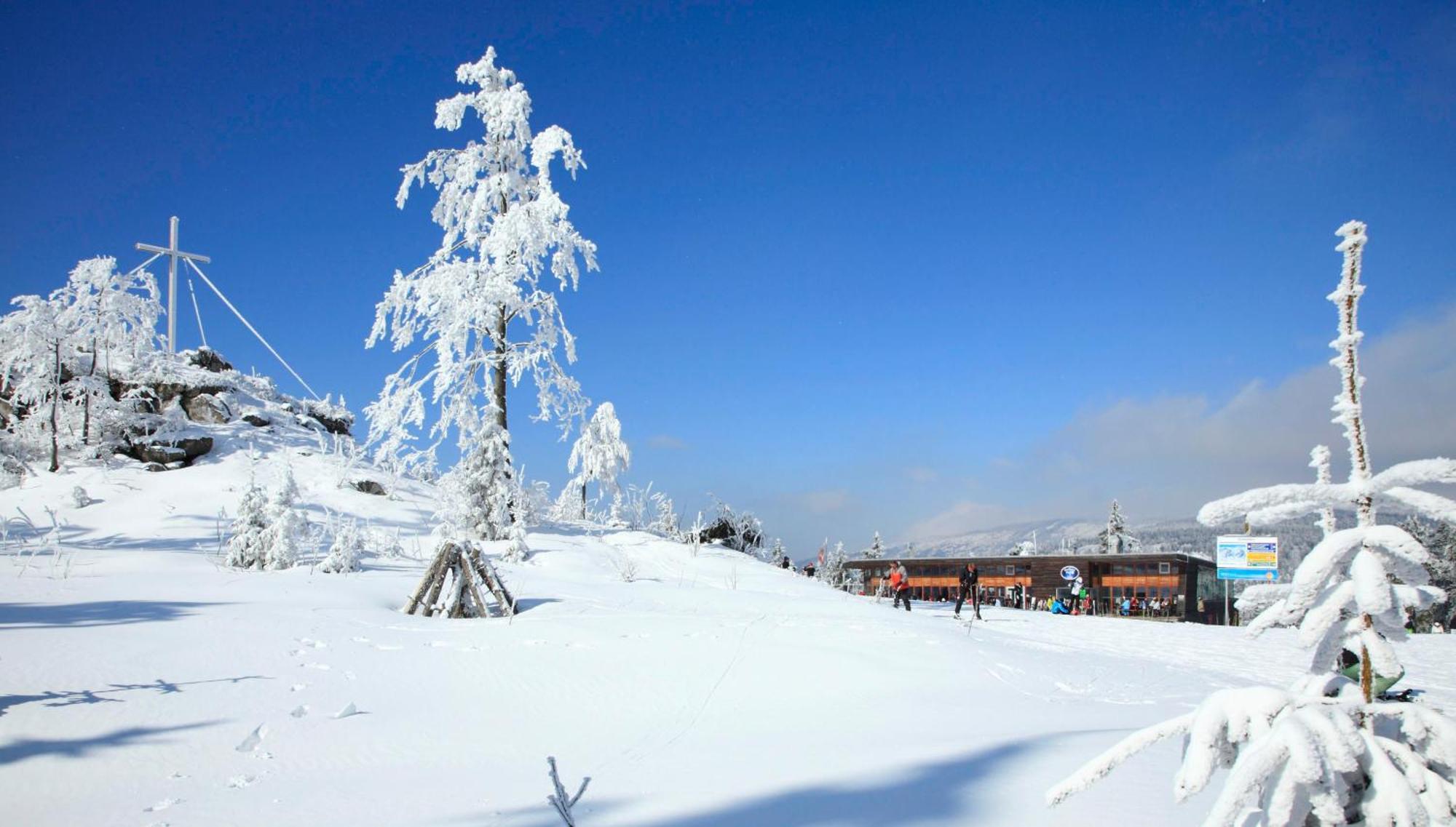 Forsthaus Apartments - Ski + Bike & Hike Klaffer am Hochficht Kültér fotó