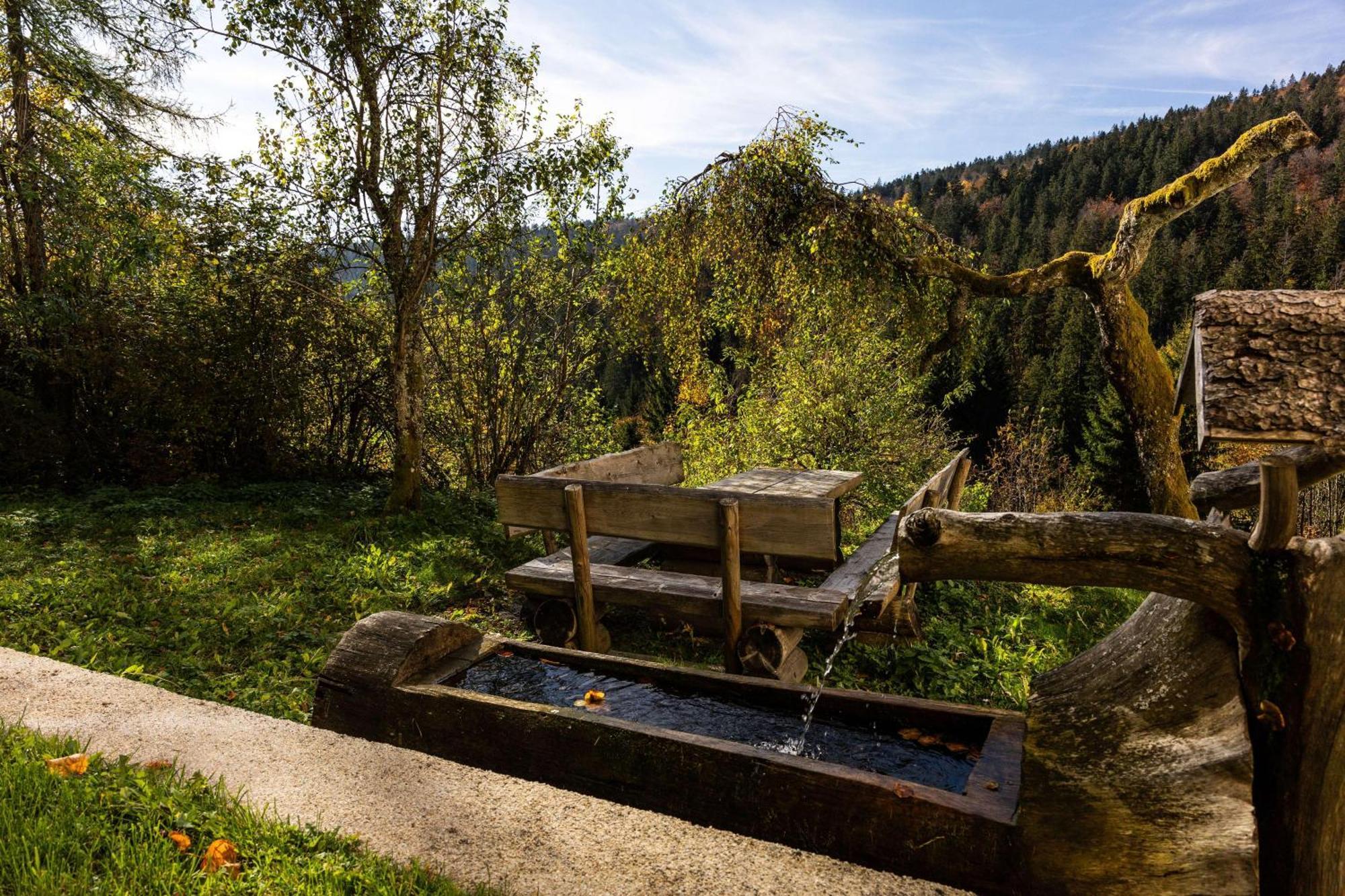 Forsthaus Apartments - Ski + Bike & Hike Klaffer am Hochficht Kültér fotó