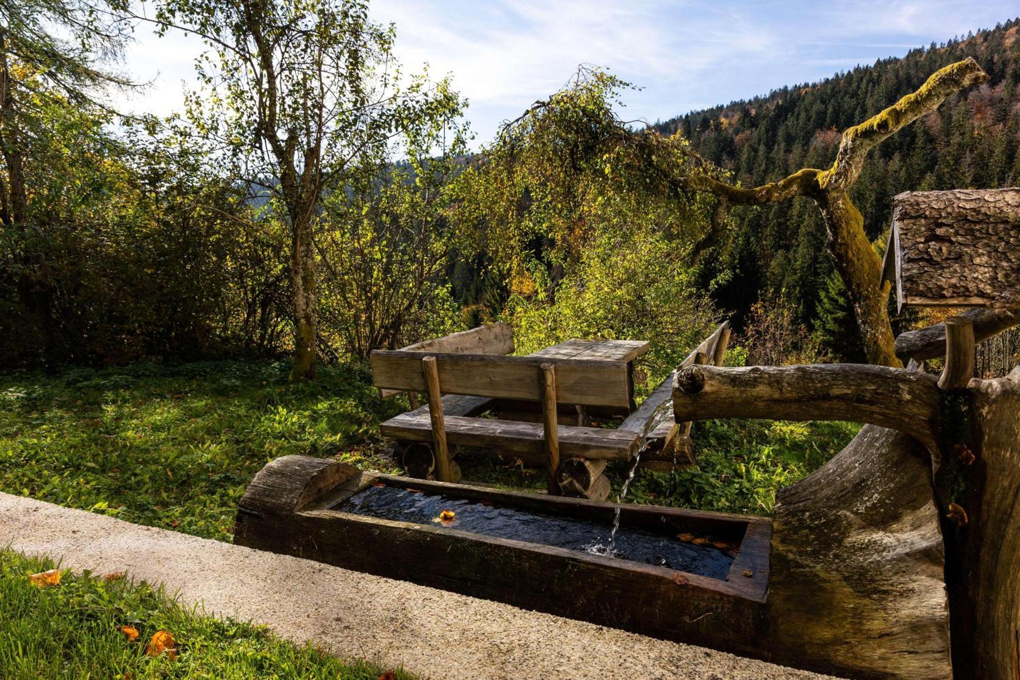 Forsthaus Apartments - Ski + Bike & Hike Klaffer am Hochficht Kültér fotó