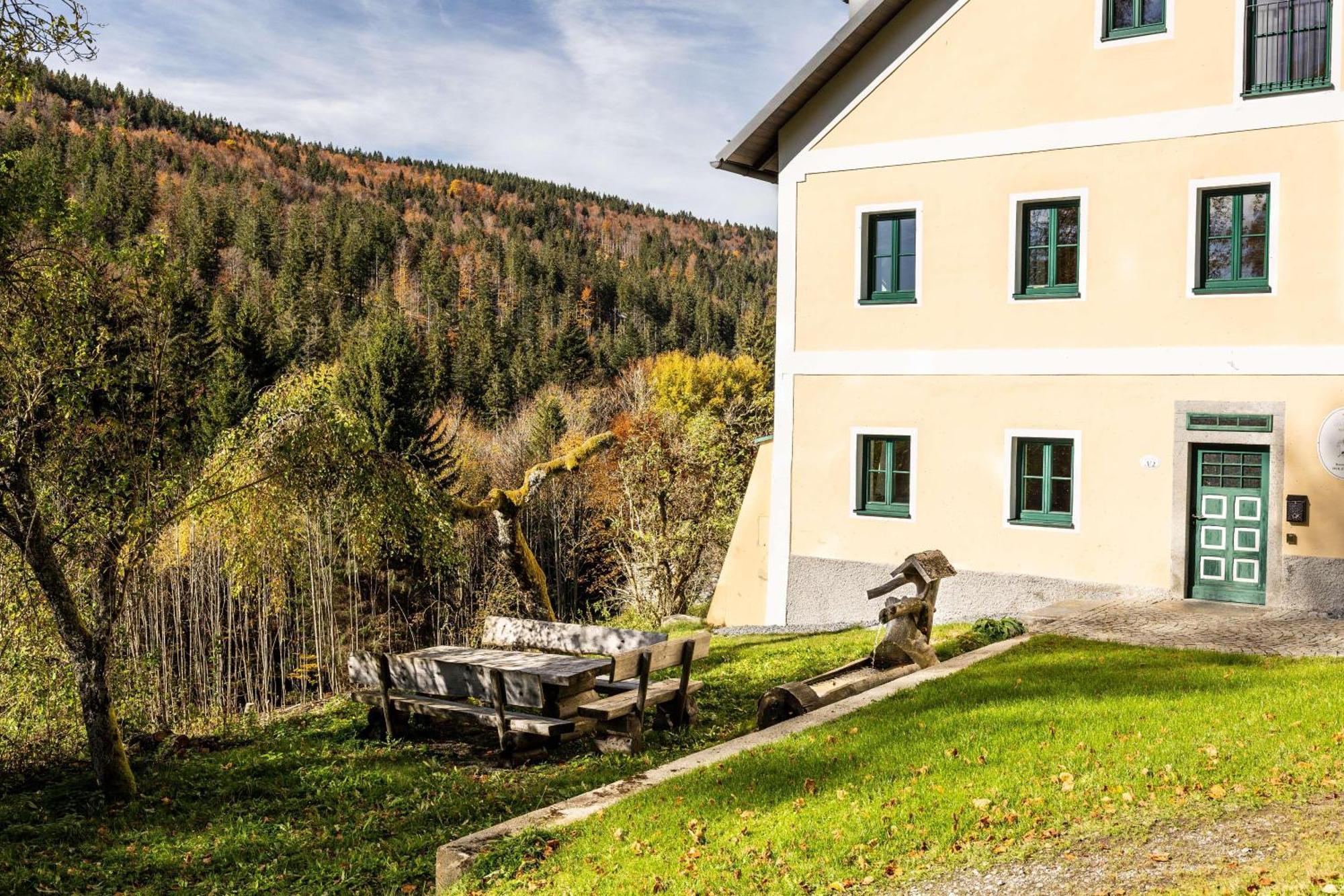 Forsthaus Apartments - Ski + Bike & Hike Klaffer am Hochficht Kültér fotó